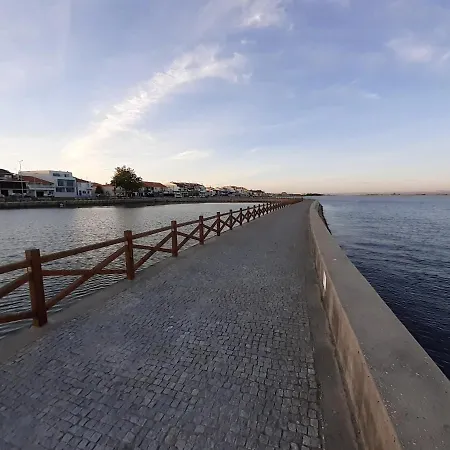 Navio * Торрейра